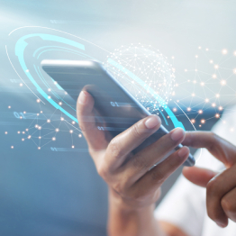 IT & Telecommunication Products